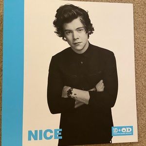 Harry Styles “Nice” Office Depot Binder